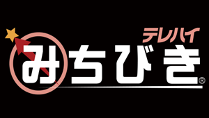 テレハイみちびき・ドライバーズアプリ端末